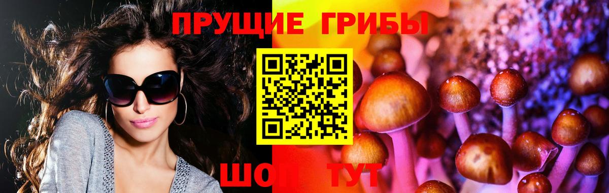 Кандалакша  Галлюциногенные грибы мухоморы  Вход с VPN 